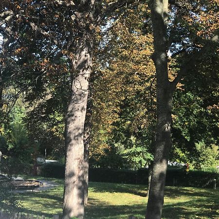 Appartamento Domizil Eutschuetzgruen Bannewitz Esterno foto